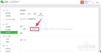 看视频微信公众号,精彩内容一网打尽