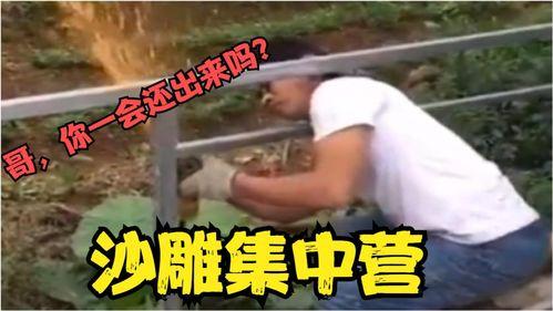 麻城搞笑视频,笑料百出，欢乐无限