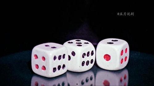 色子的视频,一场视觉与思维的碰撞之旅