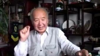 马岳梁推手视频,传统武术与现代演绎的完美融合