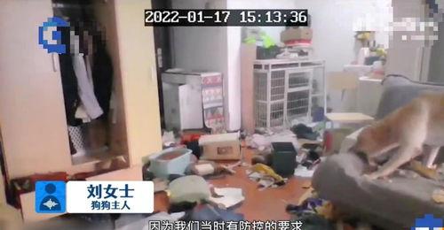 拆沙发视频,一探究竟的家居改造之旅