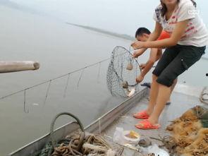 收勾鱼视频,揭秘钓鱼技巧与乐趣