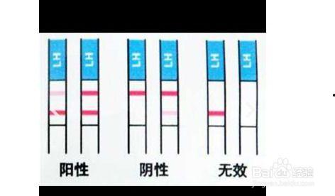 测孕纸怎么用视频